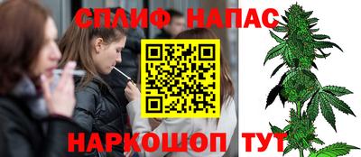 крисы Кунгур
