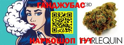 крисы Кунгур