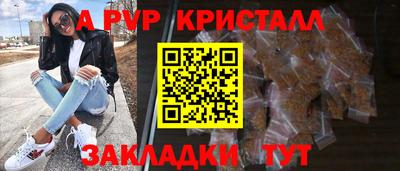 крисы Кунгур
